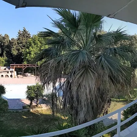 Artemis - Pool And Garden *