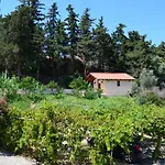 Artemis - Pool And Garden * Koskinou (Rhodes)